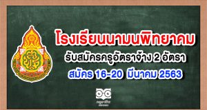 โรงเรียนนามนพิทยาคม