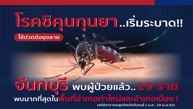 เตือน โรคชิคุนกุนยา หรือ โรคไข้ปวดข้อยุงลาย จันทบุรี พบแล้ว 19 ราย ยึดหลัก 3 เก็บ