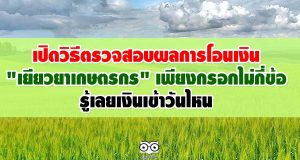 เปิดวิธีตรวจสอบผลการโอนเงิน "เยียวยาเกษตรกร" เพียงกรอกไม่กี่ข้อ ผ่าน www.เยียวยาเกษตรกร.com รู้เลยเงินเข้าวันไหน