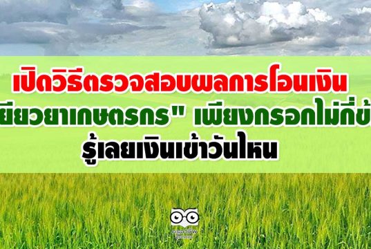 เปิดวิธีตรวจสอบผลการโอนเงิน "เยียวยาเกษตรกร" เพียงกรอกไม่กี่ข้อ ผ่าน www.เยียวยาเกษตรกร.com รู้เลยเงินเข้าวันไหน