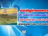 ขอเชิญทำแบบทดสอบความรู้เกี่ยวกับประวัติและประเภทคอมพิวเตอร์ โดยโรงเรียนบ้านนารี สพป.ชัยภูมิ เขต 1 ผ่านเกณณฑ์ ร้อยละ 80 รับเกียรติบัตร