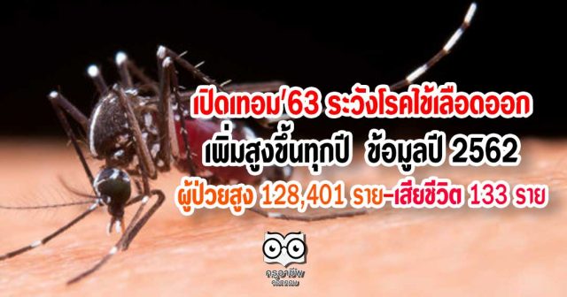 เปิดเทอม'63 ระวังโรคไข้เลือดออกเพิ่มสูงขึ้นทุกปี ในปี 2562 พบมีผู้ป่วยสูงถึง 128,401 ราย เสียชีวิต 133 ราย