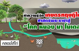 ทำความรู้จัก เกษตรทฤษฎีใหม่ ศาสตร์พระราชาสู่ “โคก หนอง นา โมเดล”