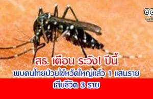 สธ. เตือน ระวัง! ปีนี้พบคนไทยป่วยไข้หวัดใหญ่แล้ว 1 แสนราย เสียชีวิต 3 ราย