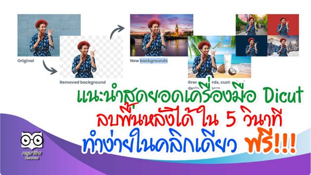 แนะนำสุดยอดเครื่องมือ Dicut ลบพื้นหลังได้ ใน 5 วินาที ในคลิกเดียว ฟรี!!!