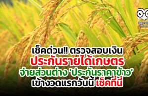 เช็คด่วน!! ตรวจสอบเงินประกันรายได้เกษตร จ่ายส่วนต่าง 'ประกันราคาข้าว' งวดแรกวันนี้ เช็คที่นี่