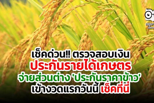 เช็คด่วน!! ตรวจสอบเงินประกันรายได้เกษตร จ่ายส่วนต่าง 'ประกันราคาข้าว' งวดแรกวันนี้ เช็คที่นี่