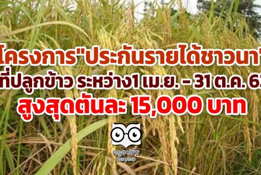 โครงการนี้ที่รอคอย "ประกันรายได้ชาวนา" ที่ปลูกข้าวระหว่างวันที่ 1 เม.ย. -​ 31 ต.ค. 63 สูงสุดตันละ 15,000 บาท