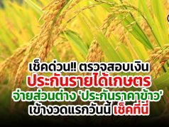 เช็คด่วน!! ตรวจสอบเงินประกันรายได้เกษตร จ่ายส่วนต่าง 'ประกันราคาข้าว' งวดแรกวันนี้ เช็คที่นี่