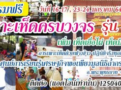 อบรมเพาะเห็ดเศรษฐกิจครบวงจรฟรี อบรม 4 วัน 2 คืน พร้อมที่พักและอาหาร 6-17, 23-24 ม.ค.64 นี้ (เฉพาะเสาร์ อาทิตย์)