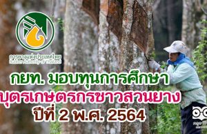 กยท. มอบทุนการศึกษา บุตรเกษตรกรชาวสวนยาง ปีที่ 2 พ.ศ. 2564