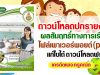 ดาวน์โหลด ปกรายงานผลสัมฤทธิ์ทางการเรียน ไฟล์เพาเวอร์พอยต์ (ppt) แก้ไขได้