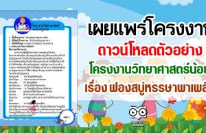 ดาวน์โหลดตัวอย่าง โครงงานวิทยาศาสตร์น้อย เรื่อง ฟองสบู่หรรษาพาเพลิน ไฟล์แก้ไขได้