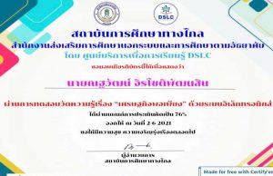 แบบทดสอบออนไลน์ เรื่อง เศรษฐกิจพอเพียง ผ่านเกณฑ์ 75% รับเกียรติบัตร โดยสถาบันการศึกษาทางไกล