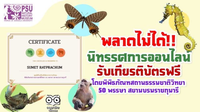 พลาดไม่ได้!! นิทรรศการออนไลน์ ความรู้เกี่ยวกับระบบนิเวศและสิ่งมีชีวิตในภาคใต้ของไทย รับเกียรติบัตรฟรี โดยพิพิธภัณฑสถานธรรมชาติวิทยา ๕๐ พรรษา สยามบรมราชกุมารี