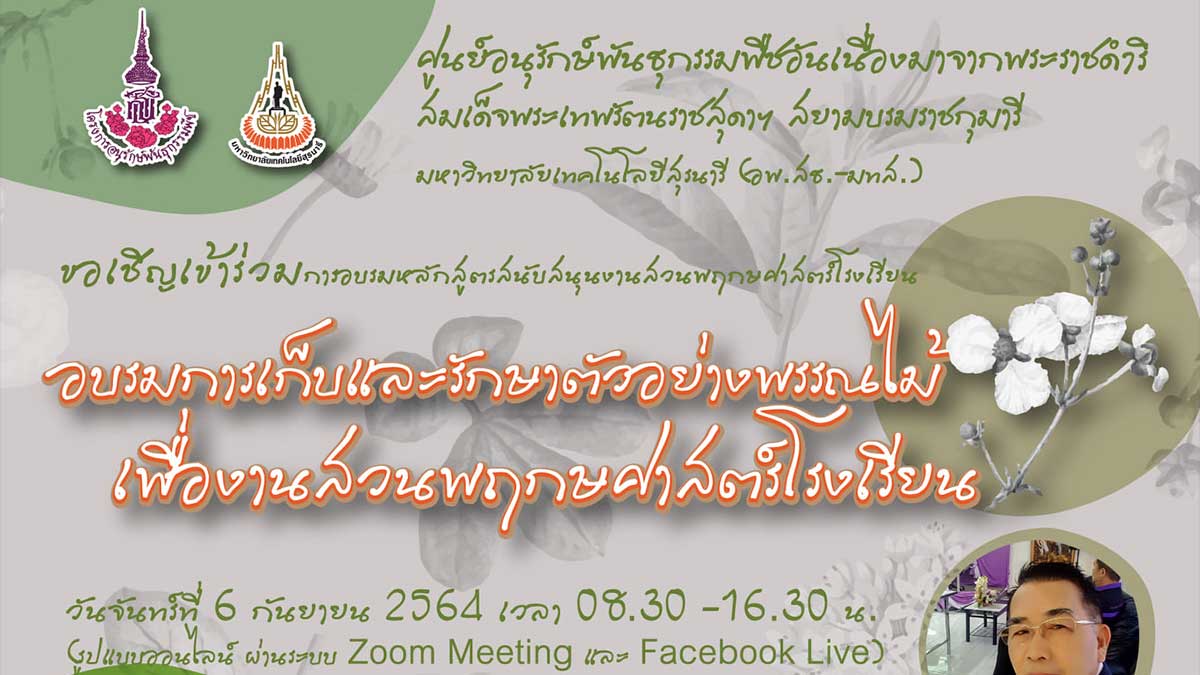 อบรมออนไลน์ฟรี!! "การเก็บและรักษาตัวอย่างพรรณไม้เพื่องานสวนพฤกษศาสตร์โรงเรียน" วันจันทร์ที่ 6 กันยายน 2564 เวลา 08.30 - 16.30 น. รับเกียรติบัตรฟรี โดย อพ.สธ. ม.เทคโนโลยีสุรนารี