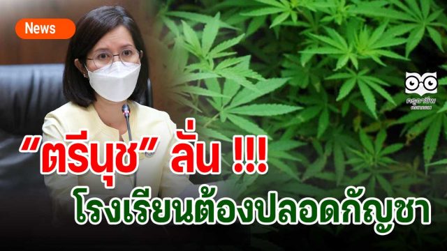 “ตรีนุช” ลั่น !!! โรงเรียนต้องปลอดกัญชา