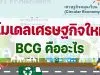 โมเดลเศรษฐกิจใหม่ BCG คืออะไร BCG Economy โมเดลสำหรับพัฒนาเศรษฐกิจสู่ความยั่งยืน