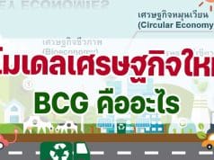 โมเดลเศรษฐกิจใหม่ BCG คืออะไร BCG Economy โมเดลสำหรับพัฒนาเศรษฐกิจสู่ความยั่งยืน