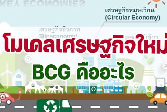 โมเดลเศรษฐกิจใหม่ BCG คืออะไร BCG Economy โมเดลสำหรับพัฒนาเศรษฐกิจสู่ความยั่งยืน