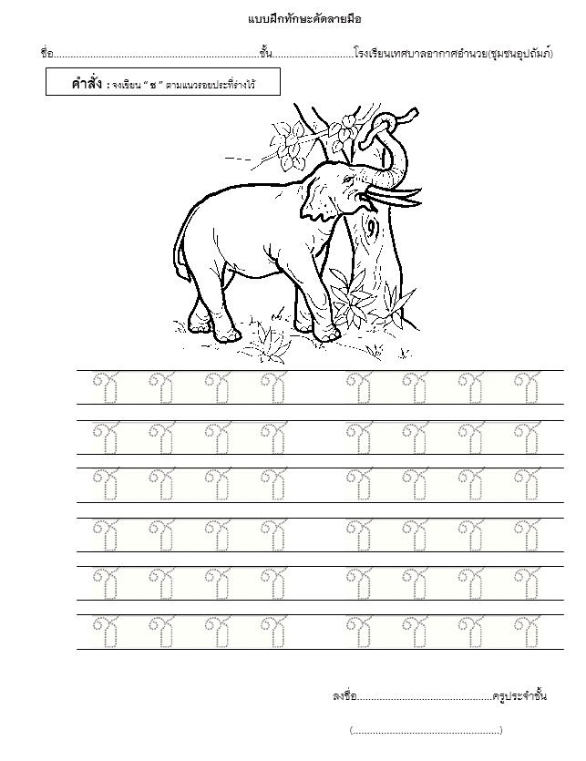 ดาวน์โหลดฟรี แบบฝึกทักษะคัดลายมือ ก-ฮ ไฟล์เวิร์ด แก้ไขได้ แบบฝึกคัดไทย doc