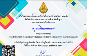 แบบทดสอบออนไลน์ เรื่อง ทักษะความเข้าใจและใช้เทคโนโลยีดิจิทัลของข้าราชการและบุคลากรภาครัฐ ผ่านเกณฑ์ รับเกียรติบัตรทางอีเมล โดย สพป. พิจิตร เขต 2