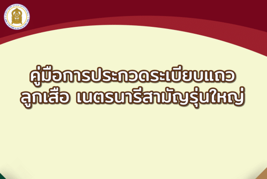 ดาวน์โหลด คู่มือการประกวดระเบียบแถวลูกเสือ เนตรนารี สามัญรุ่นใหญ่ ปี 2566 โดย สำนักการลูกเสือ ยุวกาชาดและกิจการนักเรียน สำนักงานปลัดกระทรวงศึกษาธิการ