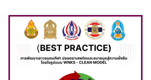 เผยแพร่นวัตกรรม Best Practice เรื่อง การพัฒนาเยาวชนคนกีฬา ปลอดยาเสพติดและอบายมุข สู่ความยั่งยืน โดยใช้รูปแบบ WNKS-CLEAN MODEL โรงเรียนวัดหนองแขม สพป.ชัยนาท